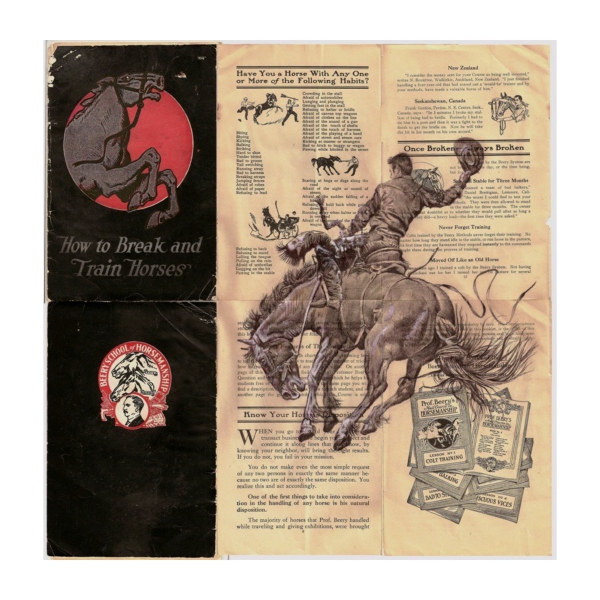 ScottMackie3's tweet photo. Once broken always broken.
🐎
Mixed media on vintage book pages.
Now available DM for more information.
🪬
#americanart #scottishartist https://t.co/KGUJ8KSZdO