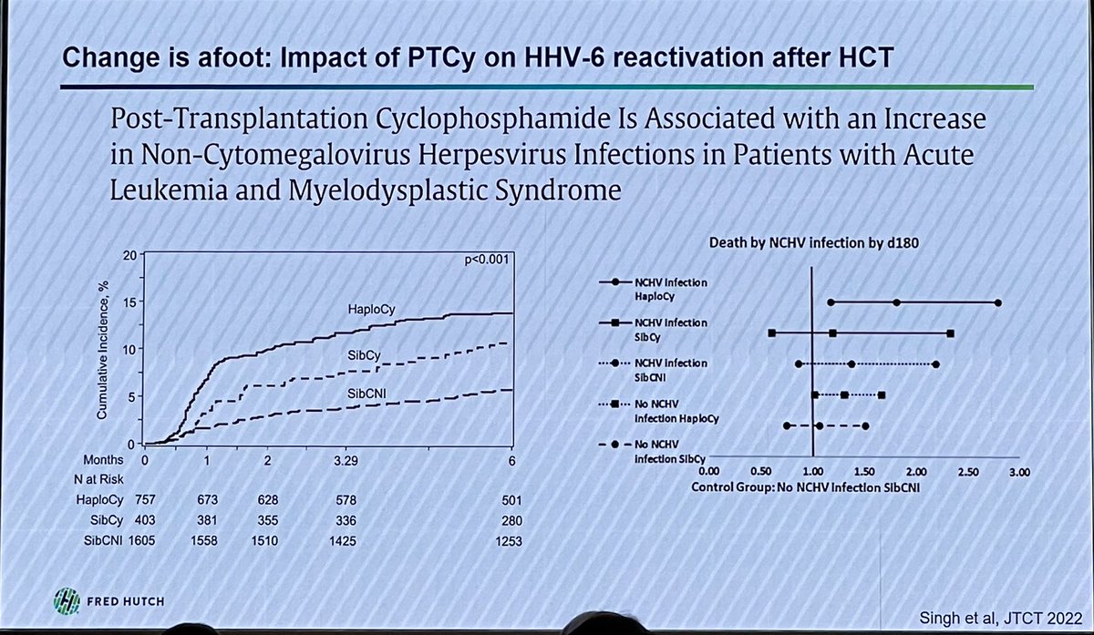 Congratulations Josh Hill @fredhutch as the @IchsGlobal Junior Investigator Award - in his lecture he reviewed his significant contributions to understanding HHV6 #ICHS2024