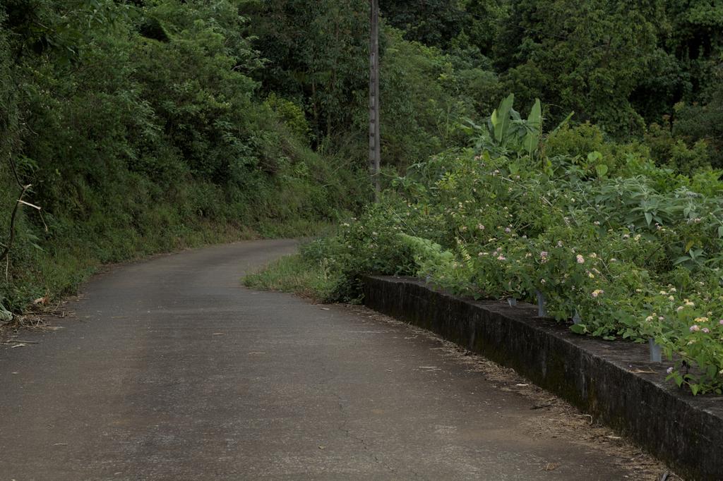 Petite marche 🚶 du matin au Petit Tampon (Terrain Cross) 🇷🇪 📷 #nature #NaturePhotography #naturelovers #photooftheday #photographer #photograghy #canon #beauty #beautiful #GoodMorningEveryone