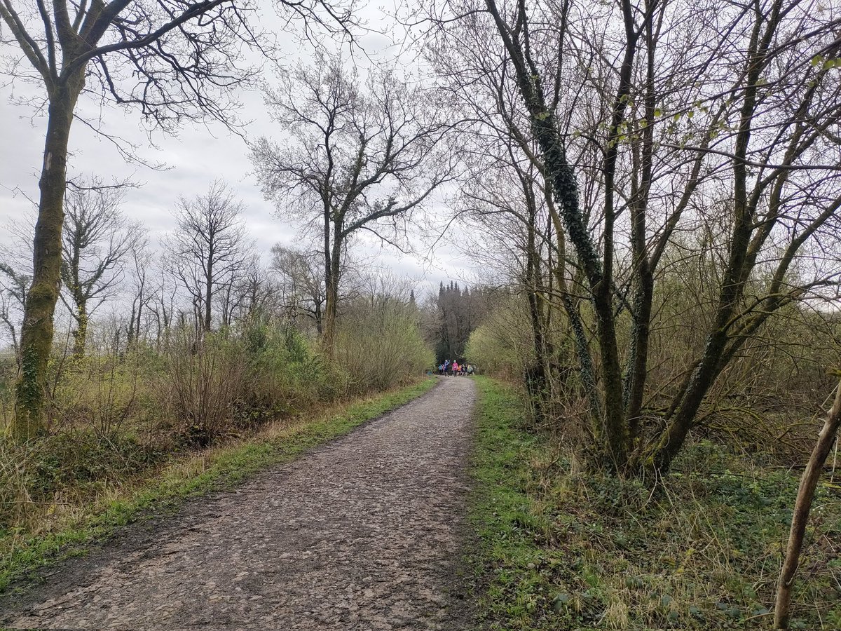 Coed Cefn-pwll-du parkrun, Machen. Harsh at first then gets easier, accompanied by birdsong and lovely people.