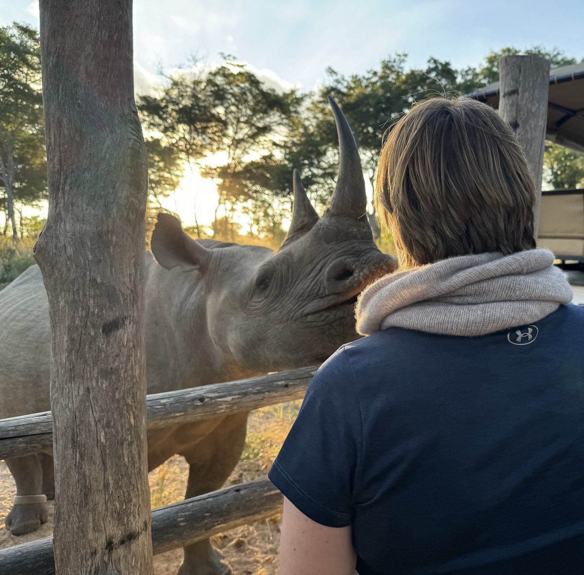 There’s nothing like getting up close & personal with a #rhino to remind one that, despite its many sorrows, it is still a beautiful world, & every vulnerable sentient being deserves to feel safe, free & cherished ❤️ ⁦@BornFreeFDN⁩ ⁦@manechance⁩ ⁦⁦⁦⁦