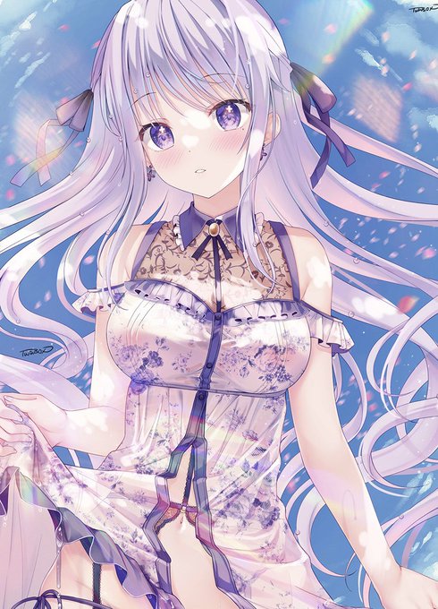 é£é³¥å
茩âïž