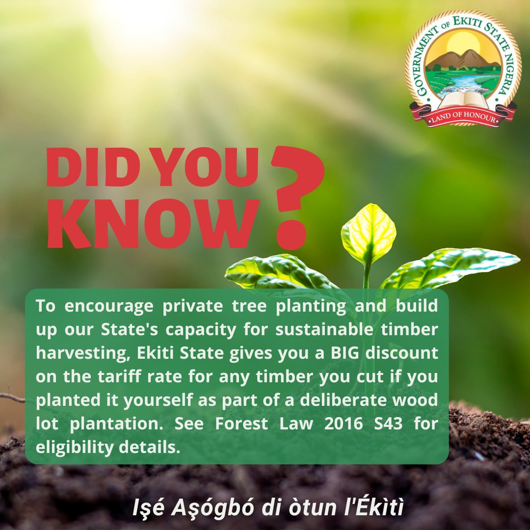 #DIDYOUKNOW To encourage private tree planting & build our state's capacity for sustainable timber harvesting, Ekiti State gives a BIG Discount on tariff rate for any timber you cut if you planted it yourself as part of a deliberate wood lot plantation. See Forest Law 2016 S43.