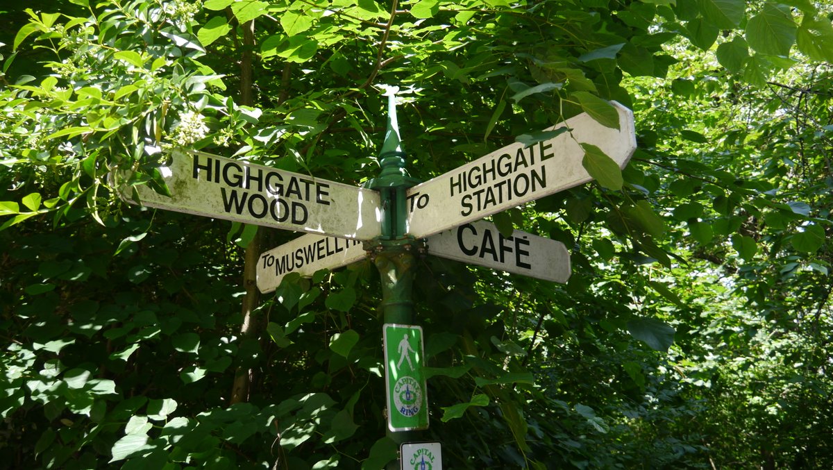 Planning a walk this weekend, but not sure where to go? Over 1000 green spaces and 20 inspirational lines to choose from, including signposted walking paths 🪧 helenilus.com/london-greengr…
