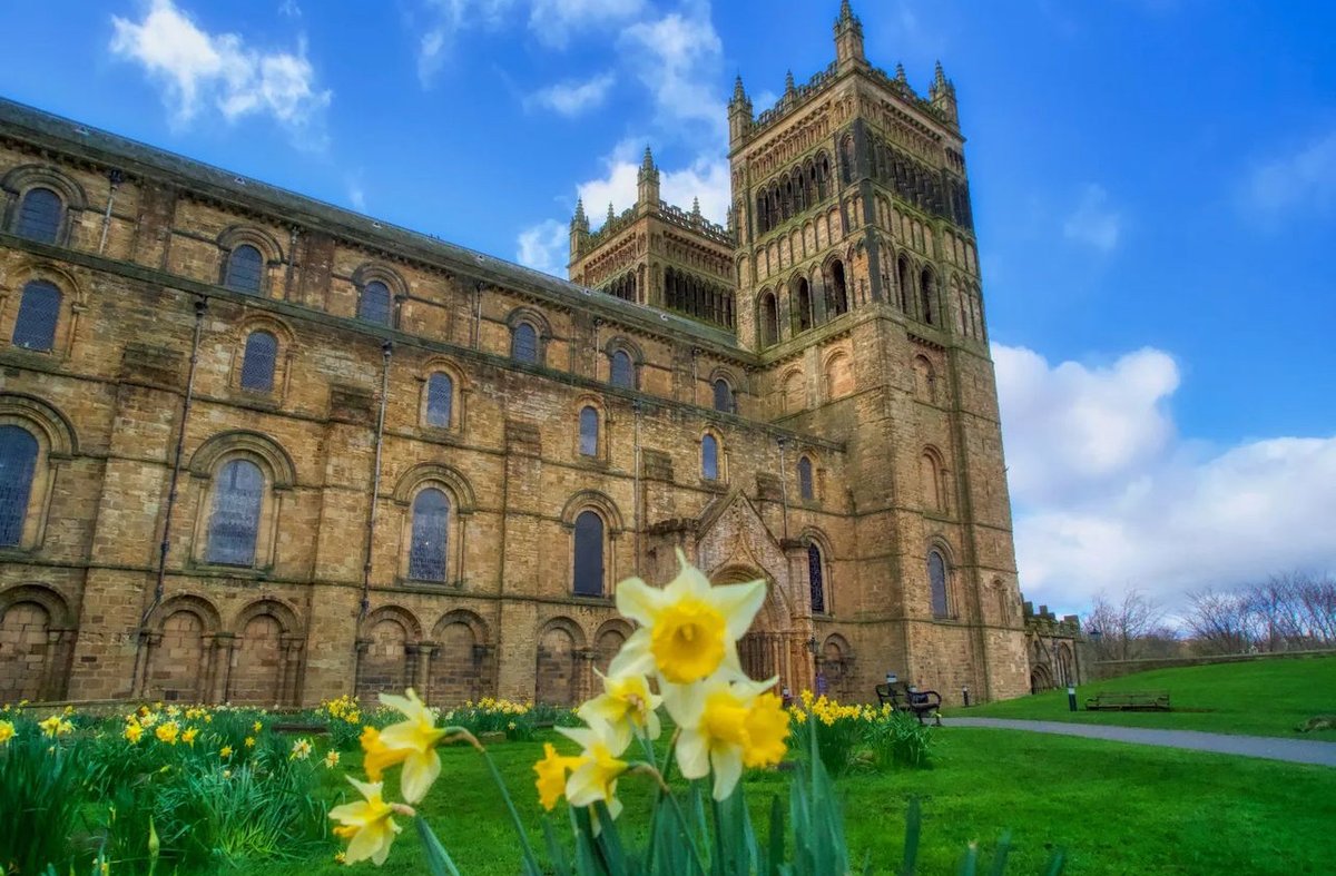 Spring is here 🌷 With thanks to Vixta12 on Instagram for this lovely image 📸