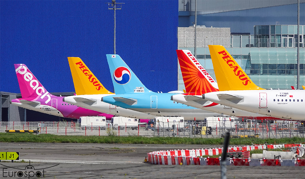 New Flight line on JLL apron #airbus #a320neo #A321Neo #avgeek #aviationdaily