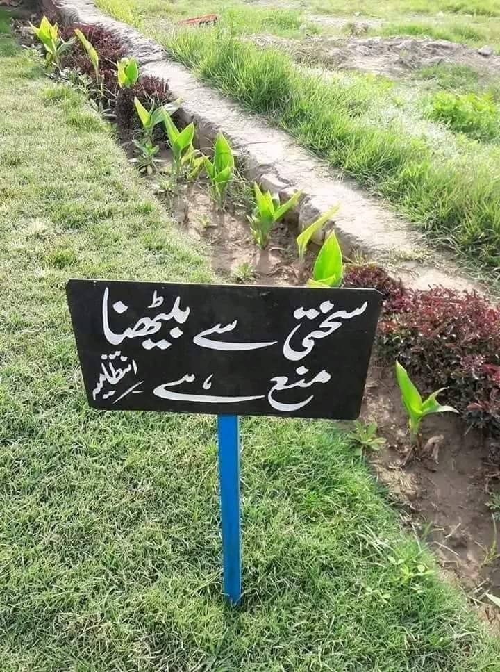 DanishPascal's tweet image. Lehaza Apny bethnay mein narmi ka istmaal lazmi Karen..