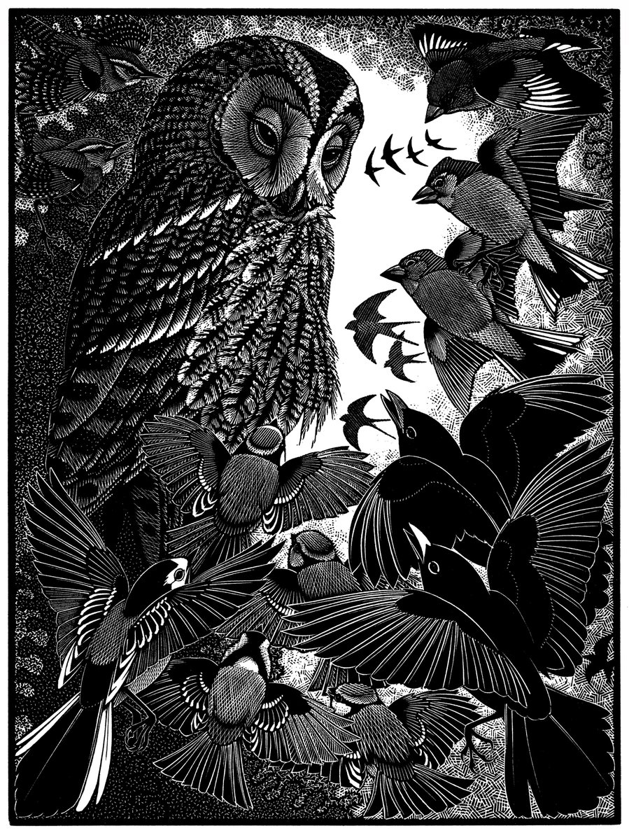 Come say hello! We are open today (Saturday 6th April) 10-5 With the amazing Colin See-Paynton welshart.net #welshart #artwales #mob #birds #woodengraving #colinseepaynton #owl #celf #oriel #ffinypargallery #mostyn #llandudno #llandudnogallery