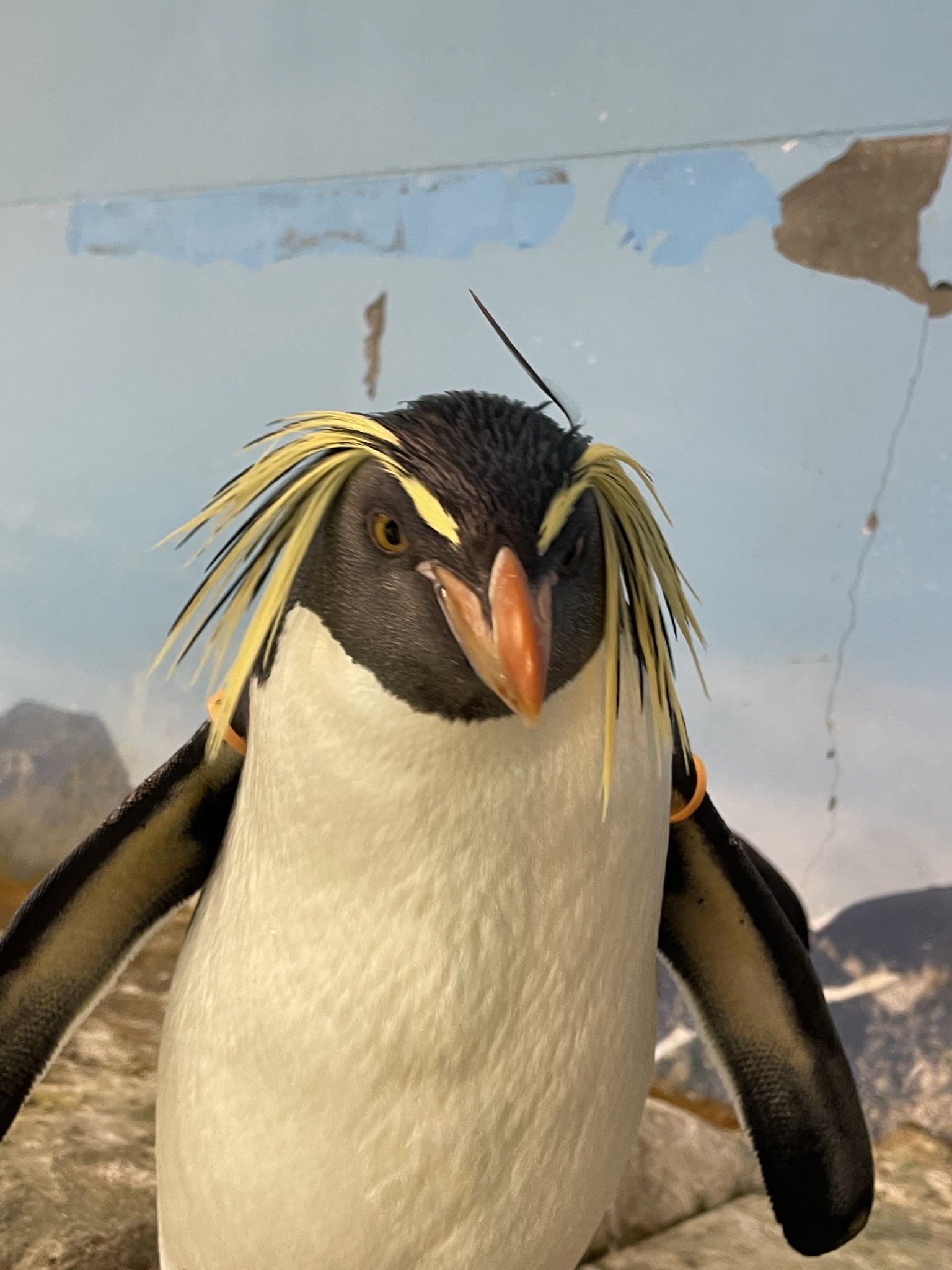 【ALBO】 天使と鳥 / 天童とリスのナプキンリング　6個【純銀】 ALBO】 天使と鳥 / 天童とリスのナプキンリング 6個【純銀