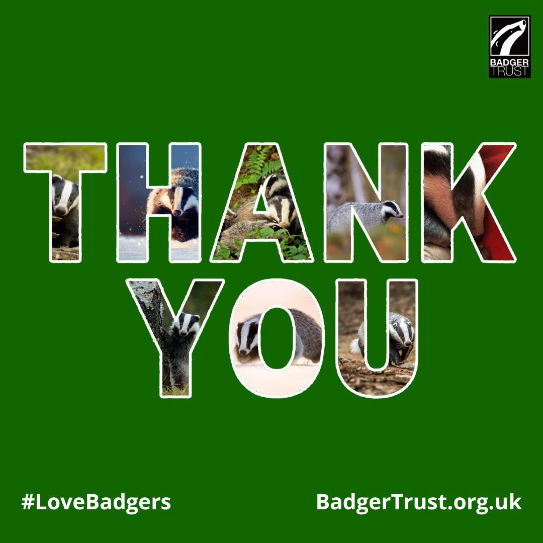 A great big THANK YOU if you're taking the #BigGreenHike for #badgers today or tomorrow! Share photos from your walk... and tell us if you've got sore paws! 💚 🦡