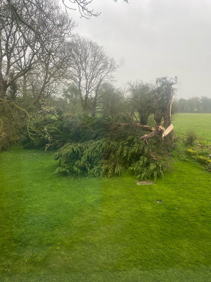 Storm damage in Charleville overnight 😮 #stormkathleen