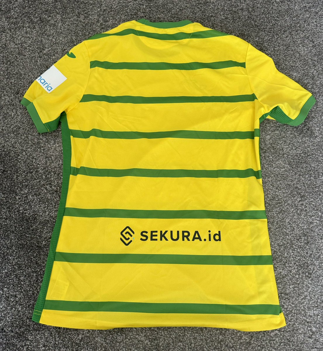 Plz RT &amp; Bid ❤️⬇️🙏

I’m selling my 2023/24 squad signed <a href="/NorwichCityFC/">Norwich City FC</a> shirt.
I’m trying to raise a few pennies to keep growing my message, do #randomactsofkindness &amp; build my platform bigger &amp; better to reach more people ❤️

#positivity #kindness &amp; #hope can change everything