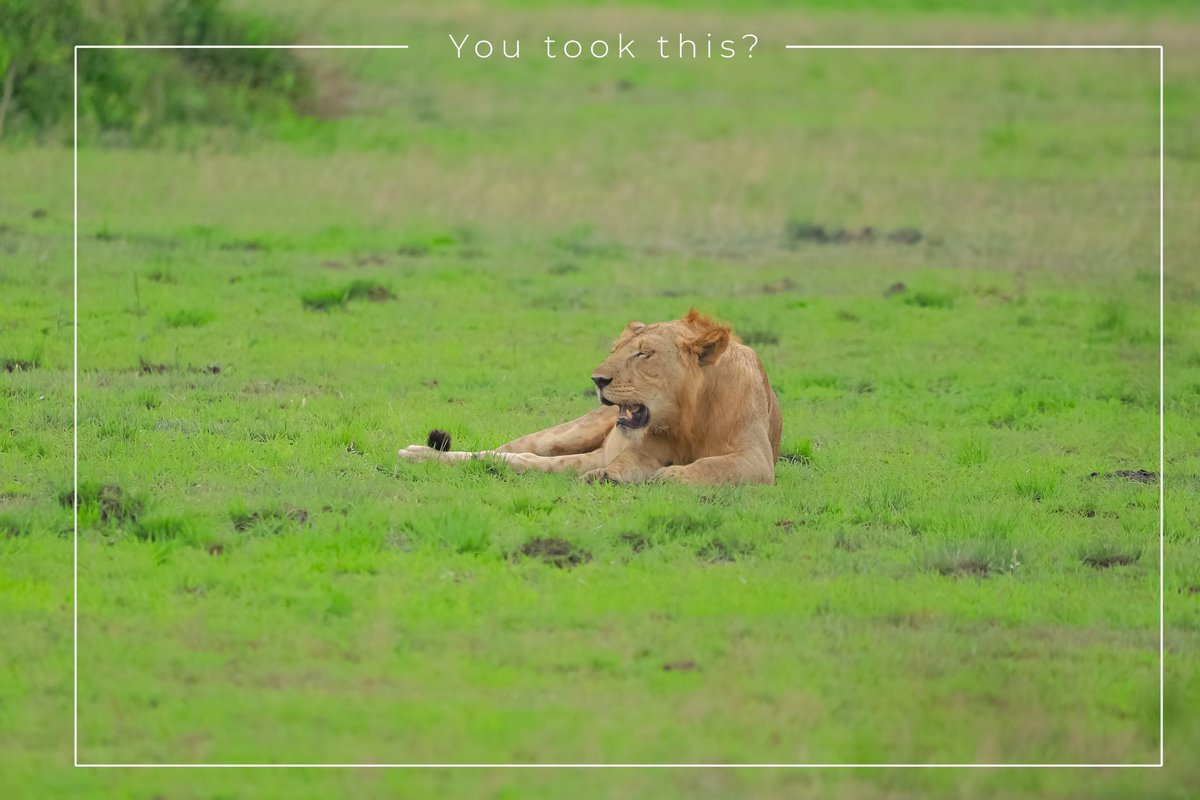 Queen Elizabeth National Park.. Is my favorite national park. How about you ?