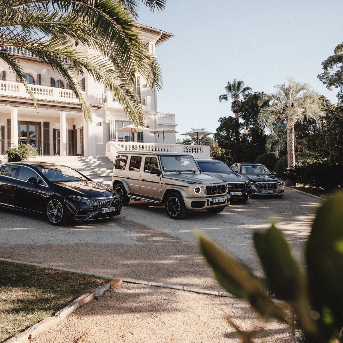 An assembly of automotive royalty 👑 🏛️ chateaudeberne on Instagram #MercedesAMG #AMG #AMGLife #AMGThrill #AMGContentDays