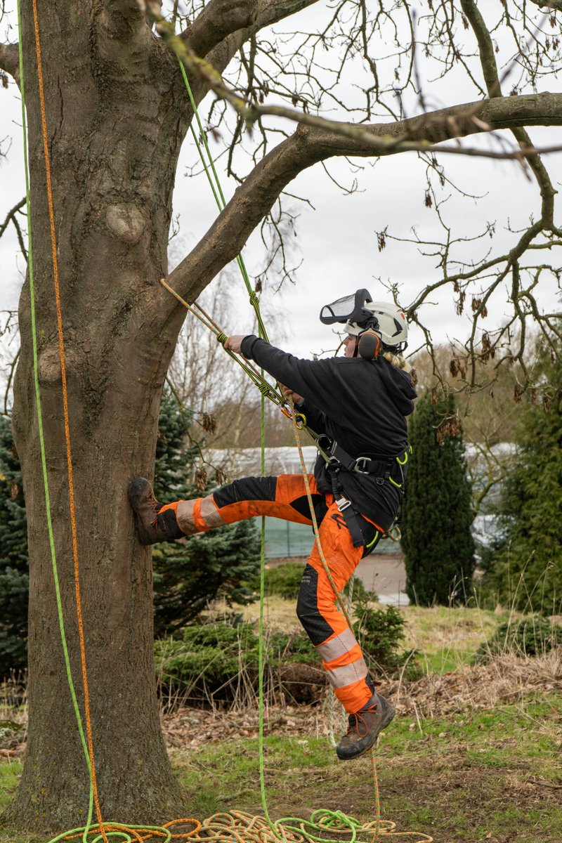Department highlight: Arboriculture & Forestry 🌳 🌲 Extensive tree collection 🌲 Woodland garden & native woodlands 🌲 Laboratory facilities 🌲 Maintenance workshops 🌲 Indoor arb aerial training area 🌲 Large equipment for timber processing #arboriculture #landbased #forestry
