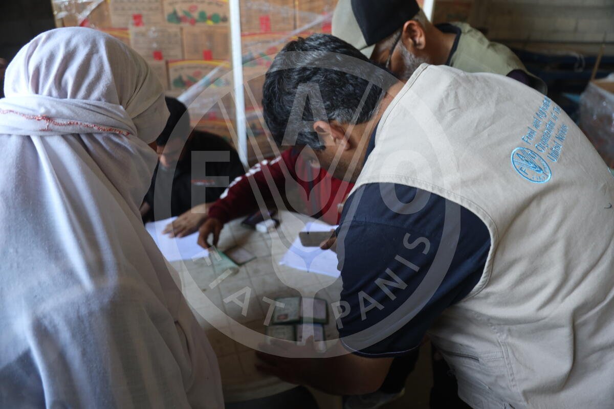 FAOinNENA_EN's tweet photo. For the first time since hostilities escalated, much-needed animal fodder enters #Gaza by @FAO. 
Agrifood value chains collapsed, worsening acute food security. 
Famine conditions loom in the north of the Strip. FAO   steps in to ensure survival and nutrition. 
#FoodSecurity https://t.co/ZtwVCETIor