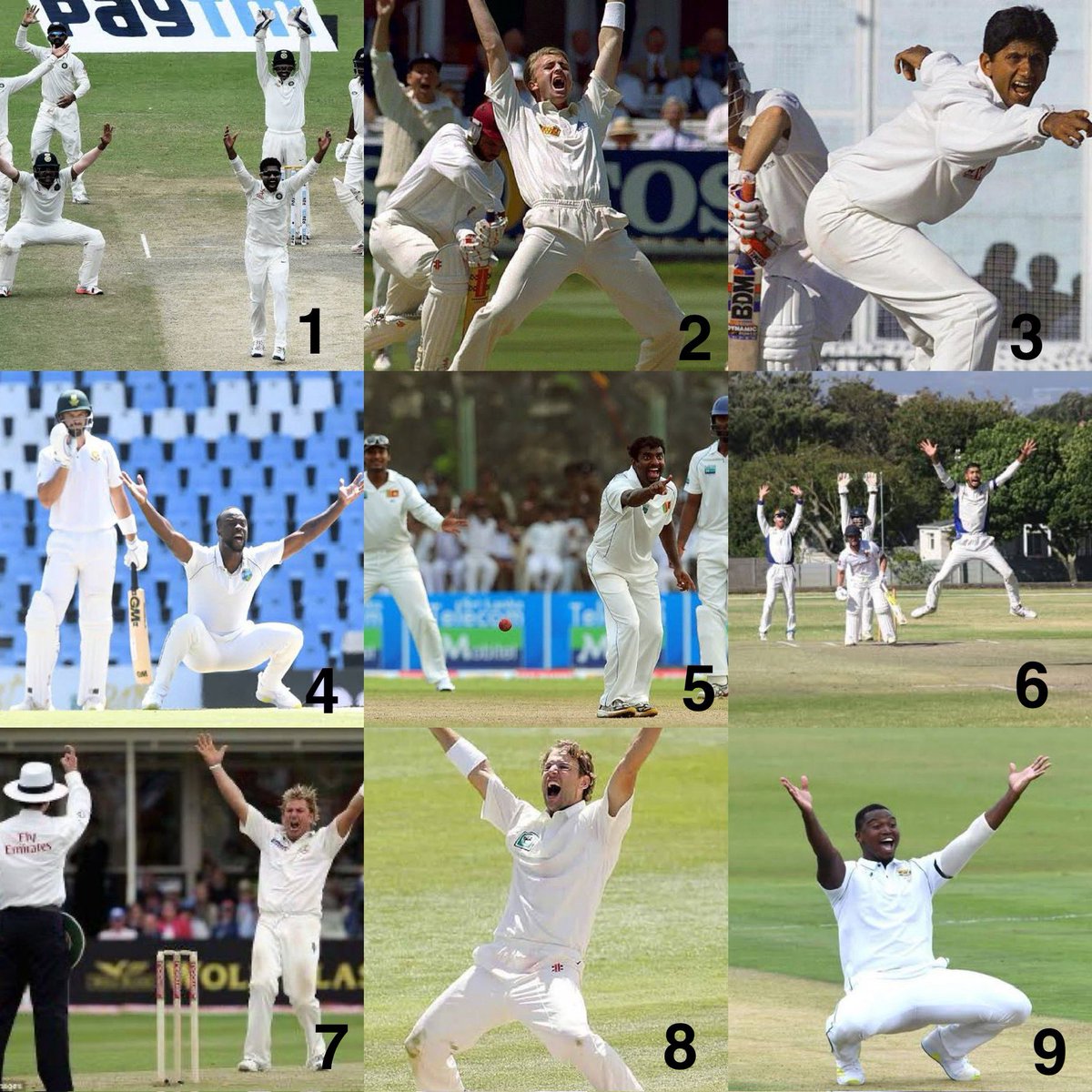 WHICH is your favourite #cricket appeal? #IPL2024