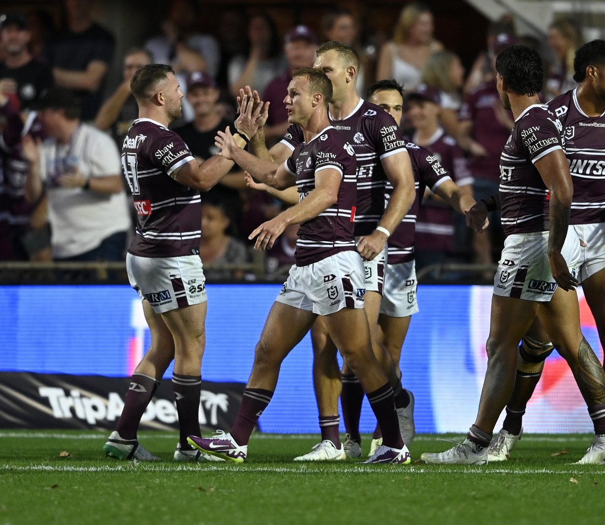 SeaEagles's tweet photo. Oh what a night....π
https://t.co/yxTvrdz4k2
#GoManly #DCE310 https://t.co/lhSmPcPT2H