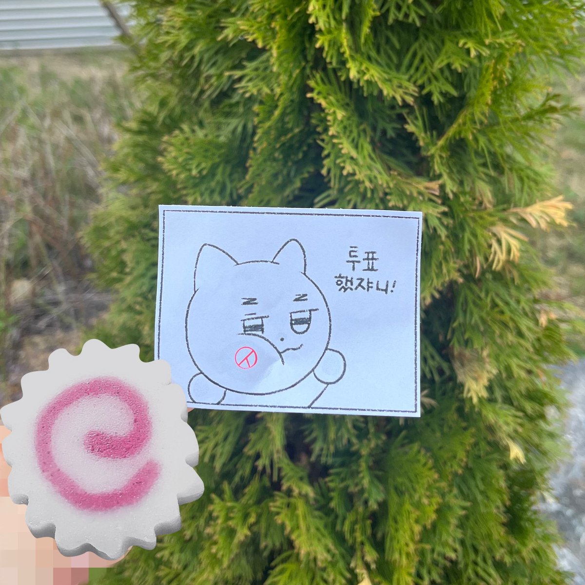 cutelderliness's tweet photo. 투표했쟈니✨ https://t.co/Y5C1aKGFFb