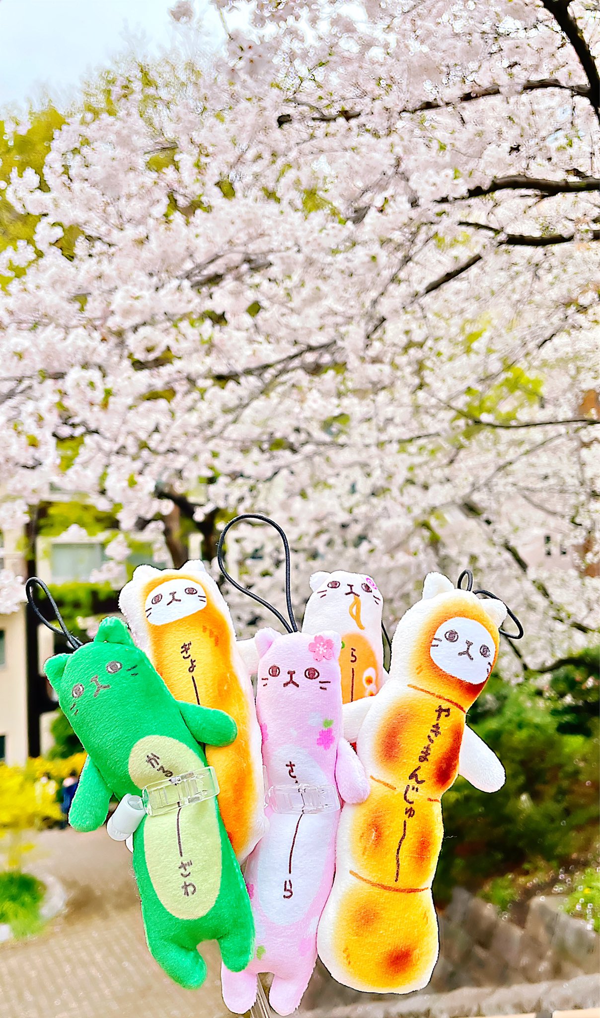 新品タグ付き　のびねこ　バナナ　はりこいね　あさり　なし のびねこ - Search / X