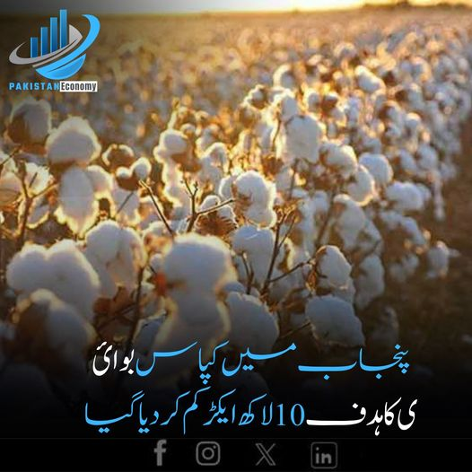 خریف میں نہری پانی کی تیس فیصد قلت کے پیش نظر پنجاب میں کپاس بوائی کا ہدف دس لاکھ ایکڑ کم کردیا گیا ہے۔ محکمہ زراعت کے مطابق نئی حکومت نے چالیس لاکھ ایکڑ پر کپاس کاشت کرنے کا ہدف مقرر کیا ہے، گزشتہ برس پانچاہ لاکھ ایکڑ کا ہدف مقرر کیا گیا تھا۔
#Punjab #CottonFarming…