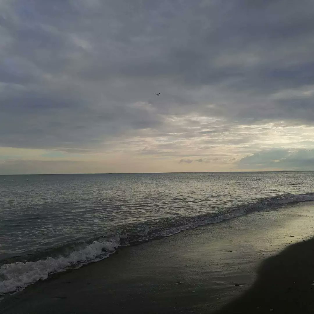 underscoremau's tweet image. 