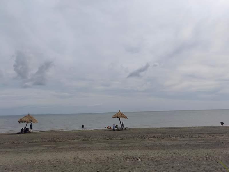 underscoremau's tweet image. 