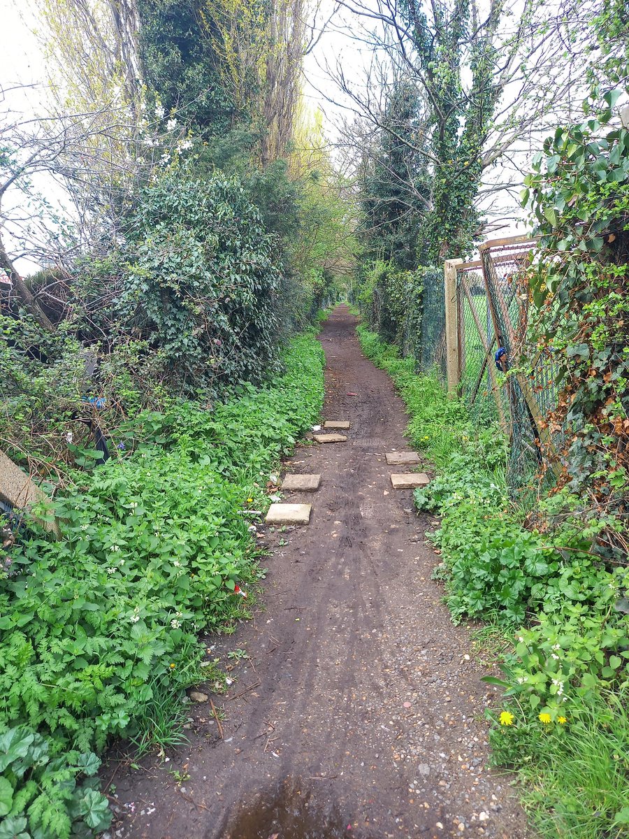 Yesterday's Esher to Ashford via Walton-on-Thames across a very swollen Mole (the river not mammal). Fascinating history at St Mary's in WoT. No mud! #SlowWays