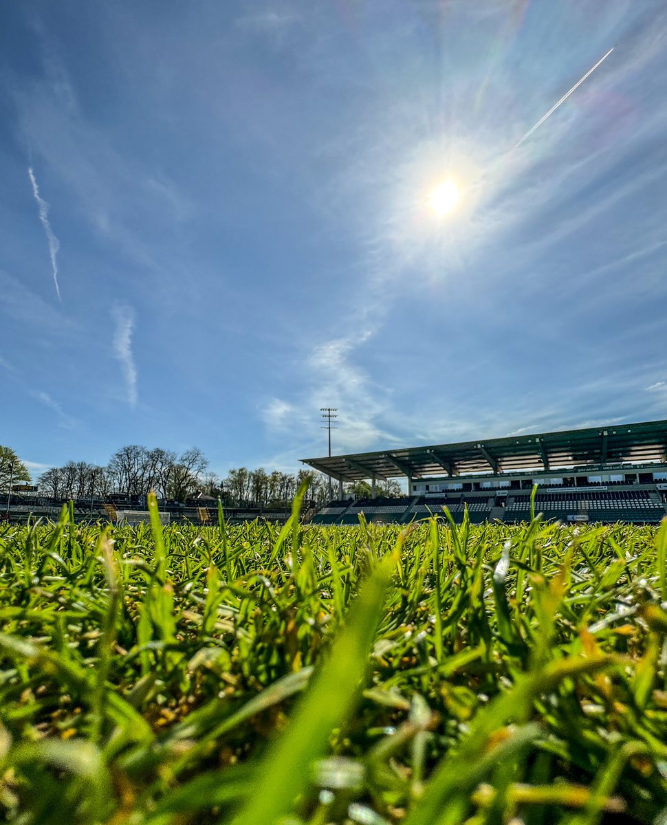 Perfektes Wetter. Perfekter Rasen. Wir haben richtig Bock auf dieses Spiel ⚫️⚪️💚 #scp06 #SCPSSV