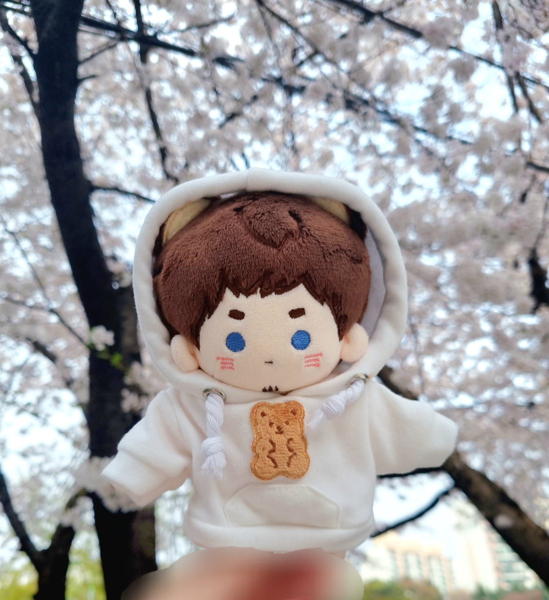 somsomdal's tweet photo. 사전투표☺️ https://t.co/YxwX2GeFof