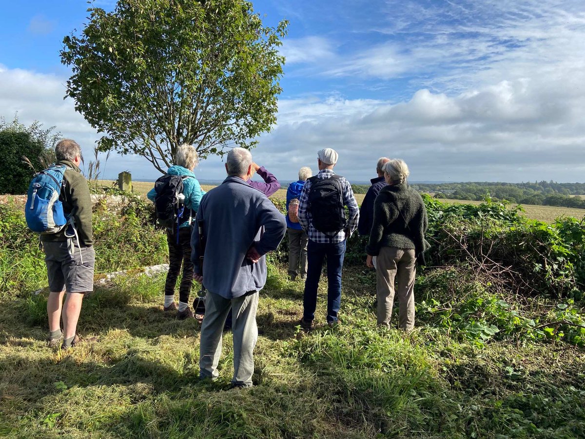 Just a few spaces left, book now to join our 'Discover Binsted' Guided walk. Explore the landscape of the idyllic Binsted area and its history with Dr Geoffrey Mead, Sussex Landscape expert, on Sunday, 14 April, 10.30am. Book: actionnetwork.org/ticketed_event…