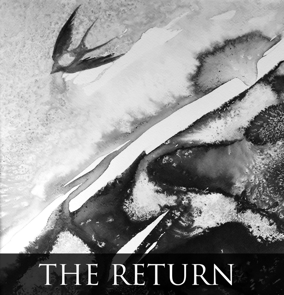 'And then another dark shape, flitting low, turning and turning back. A swallow. I’ve never witnessed swallows this early in the year.' My story this week is about migration and the return of the wild . . . You can read it via the link in my profile 👆