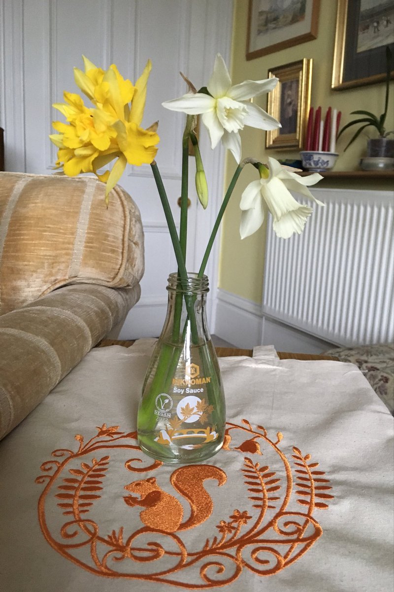 Another storm coming, so picked these oldies to keep them safe from Kathleen..l to r, the double Van Sion, 1620’s, the triandrus Thalia, early 1900’s, and the species, moschata, 1700’s. They all make me feel good, as I’m younger than they are..😀 #Spring