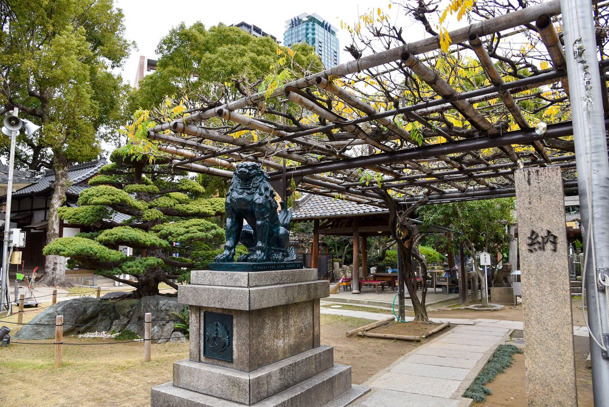 福島聖天さんの名で親しまれている了徳院様（大阪市福島区）。境内の「野田藤」を大々的に配した御朱印を授与されています。野田藤は4月中旬～下旬が開花のピーク（※変動あり）。…