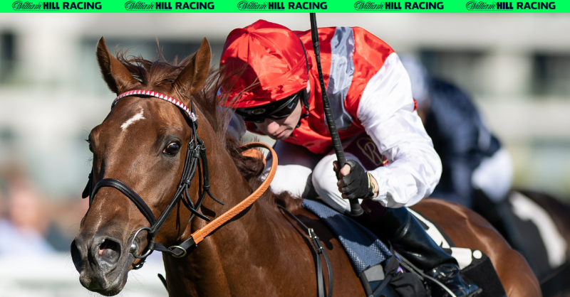 WillHillRacing's tweet photo. 🚨 NAPs time!

Jamie McBride - Old Harrovian (now 7/2)
@mp_horseracing - Choisya (now 4/1)
Dave Orton - Many Tears (now 6/1)
@PaulKealy - Tritonic (now 11/1)

#MorningPost enhanced prices 👇