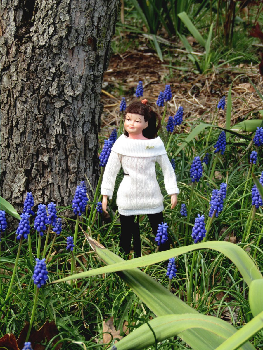 Libby Littlechap has been a Nature Girl since 1963, her year of introduction and only year of manufacture.  #dolls #dollcollector #dollphotographer
