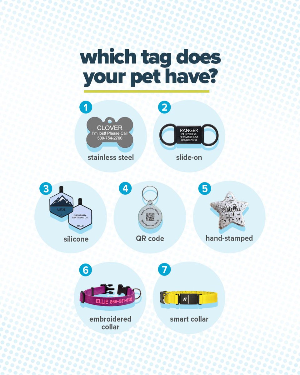 Protect your pet with a personalized tag! 🐾 #ProtectedPet #TagDay

--- 
The ASPCA® is not an insurer and is not engaged in the business of insurance 

#pets #dogs #doginsurance #ASPCAPetInsurance #dogpeople #petparents #petcare #everydayistagday