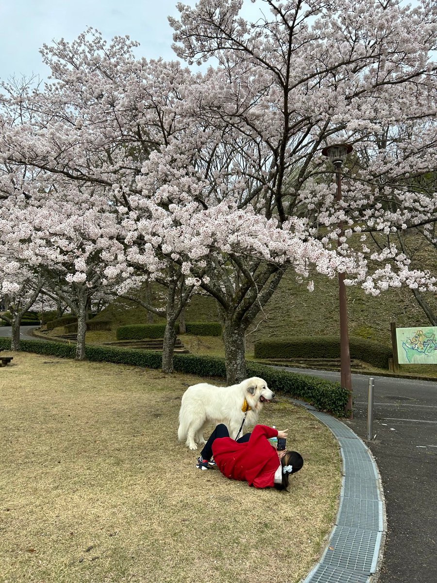 飼い主の撮影風景を撮られていた件(笑)