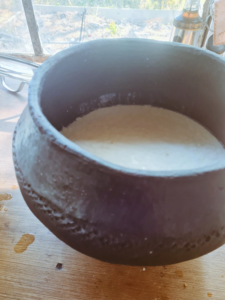 Woohoo.. 💃🏿💃🏿
I've been obsessed with making hodzeko/amasi (sour milk) in my gogo's hari and finally managed to master it courtesy of <a href="/MagrizaMMC/">Magriza Made Me Cook</a> video's. I'm so happy!! 😊🇿🇼