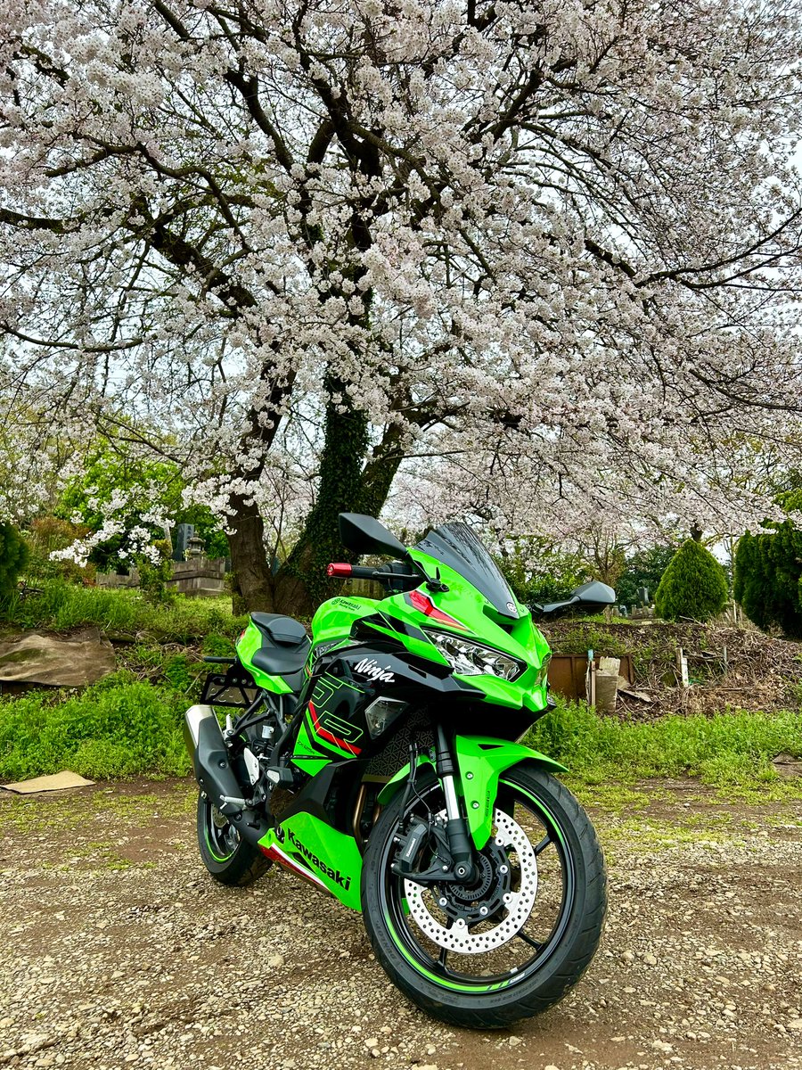 今日は桜がほぼ満開でした🌸
桜🌸とバイク一緒に撮れて良かった✨
明日晴れてくれないかな😊
#バイクと桜
#桜に佇むオートバイを貼れ
#zx25r