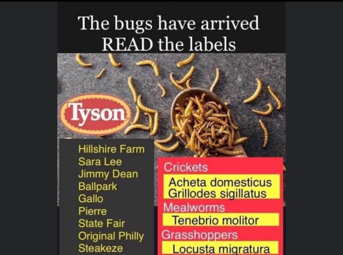 Just another reason to boycott Tyson foods #BoycottTysonFoods use the Yuka app to scan labels for food and make up.