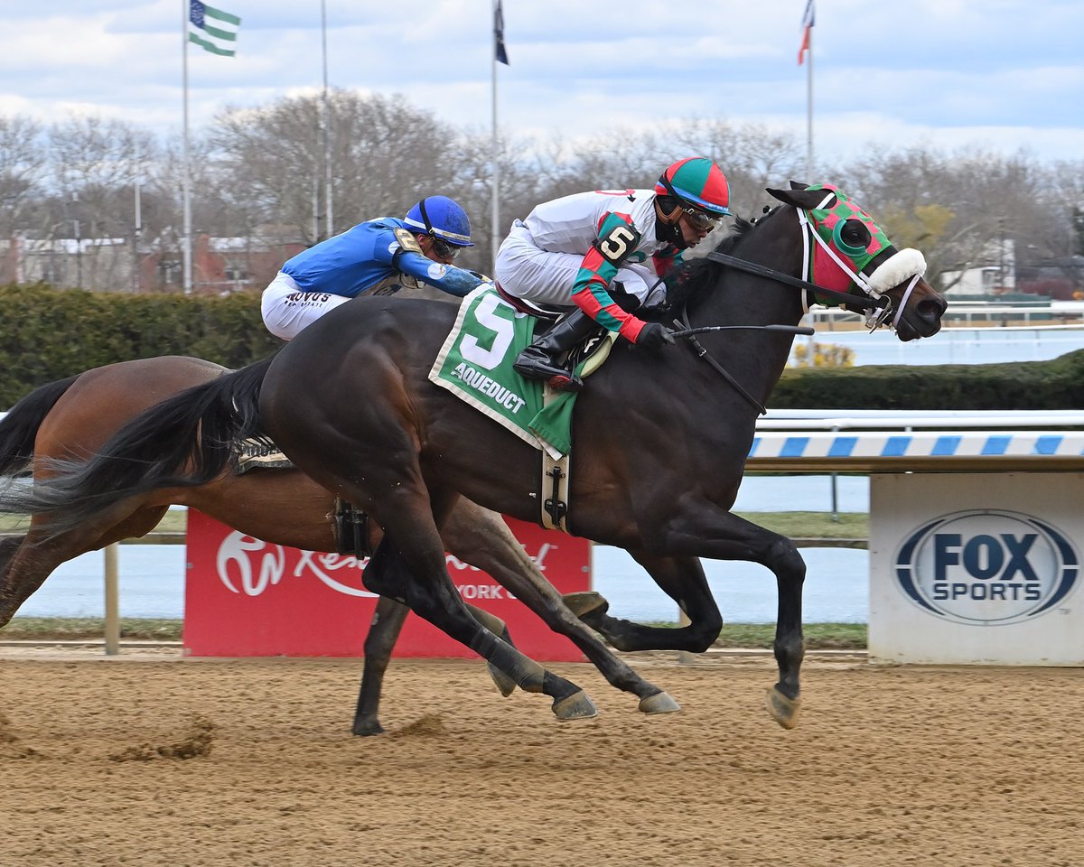 #6Apr Magia Nera Jockey: Manuel Franco Trainer: Carlos David Owner: Mr Amore Stable Claiming $40,000 • Dirt 1️⃣ First win for Carlos David #Aqueduct Friday, April 5, 2024 📸 @coglianesephoto