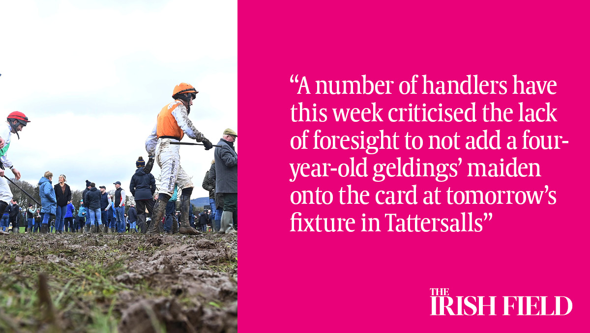 In The Irish Field this weekend, Eogháin Ward highlights the mounting frustration from the depleted point-to-point fixture list