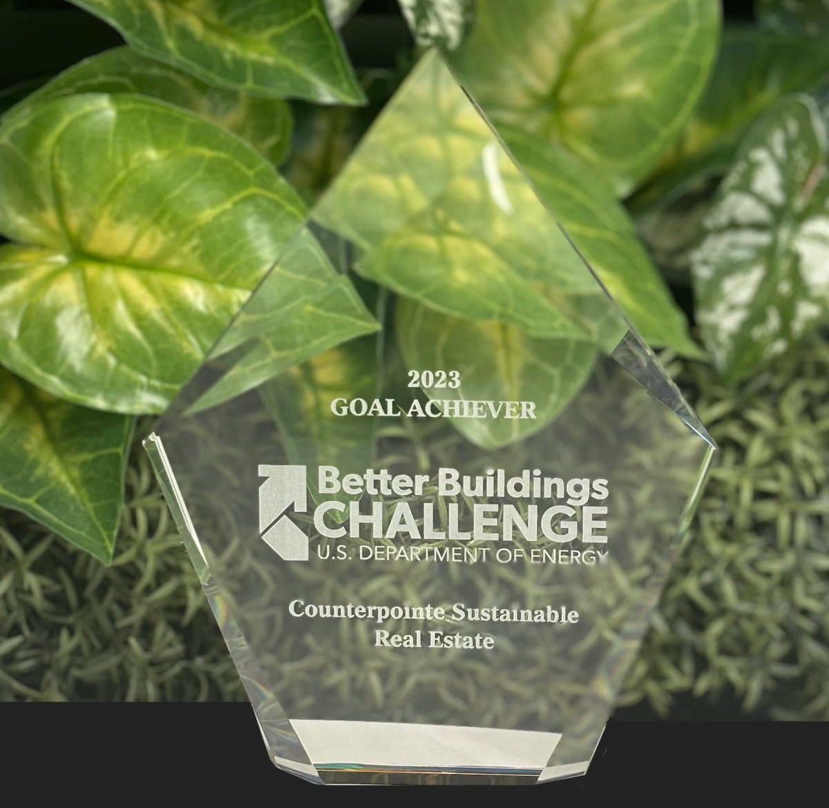 CounterpointeSRE tweet media