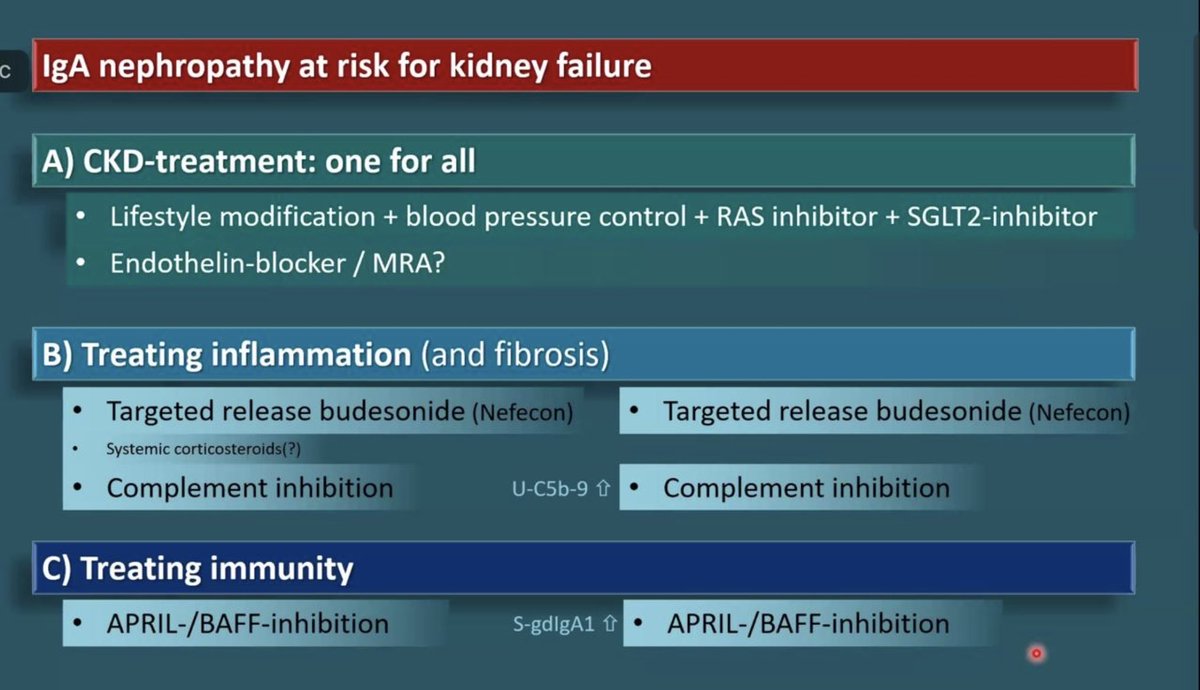 IgA nephropathy