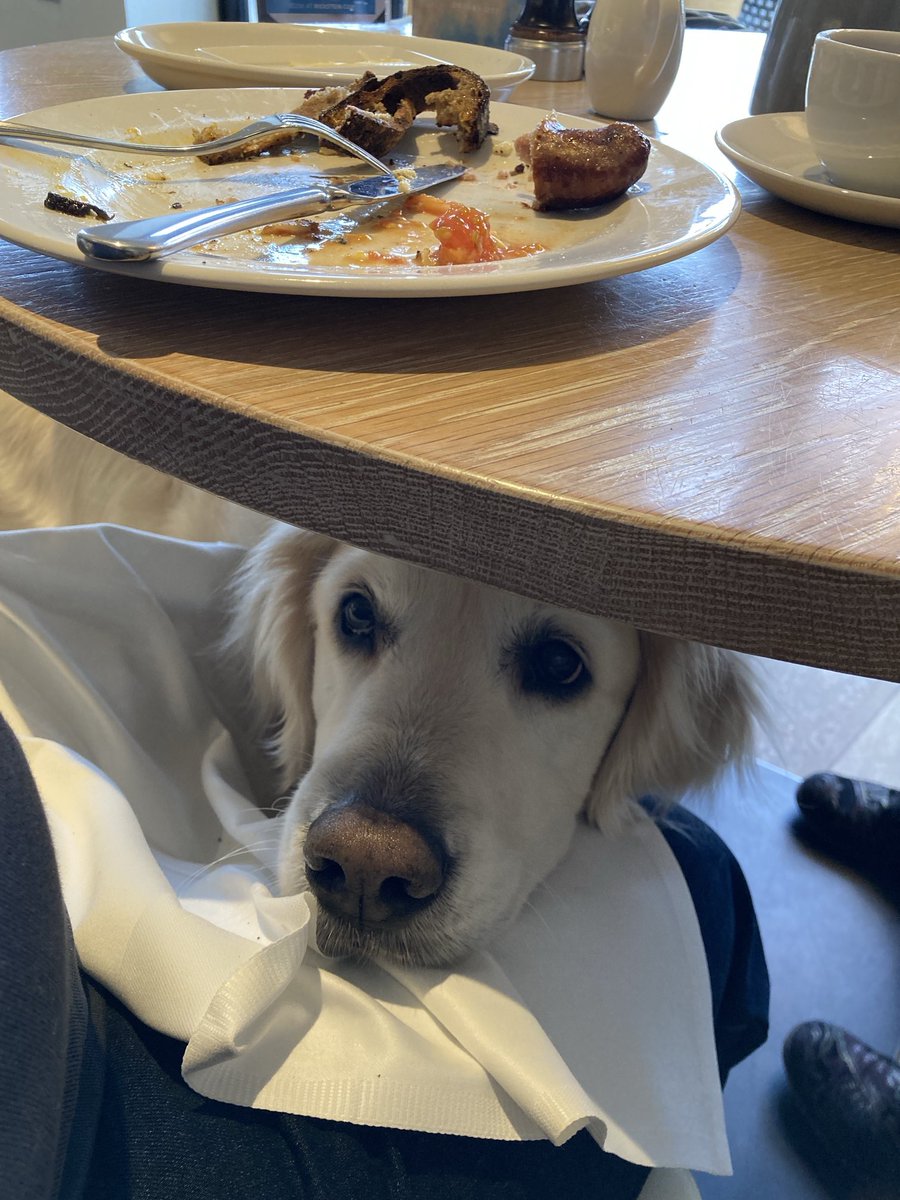 Mum and Dad took me to #RickStein at #Sandbanks for breakfast. They were both disappointed with theirs (Mum sent hers back!) but my bit of sausage was lovely and the nice waiter man brought me a load of treats