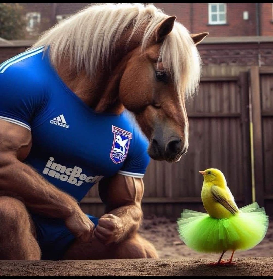 @MarkGlennMurphy @NorwichCityFC @IpswichTown @lifesapitchtv 🚜⚽💙 C'mon you blues #itfc #coyb