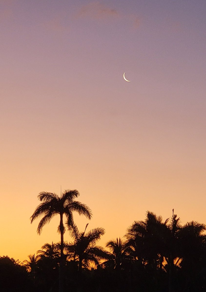 TaskerTurf's tweet image. Must be one of those Club Championship mornings!