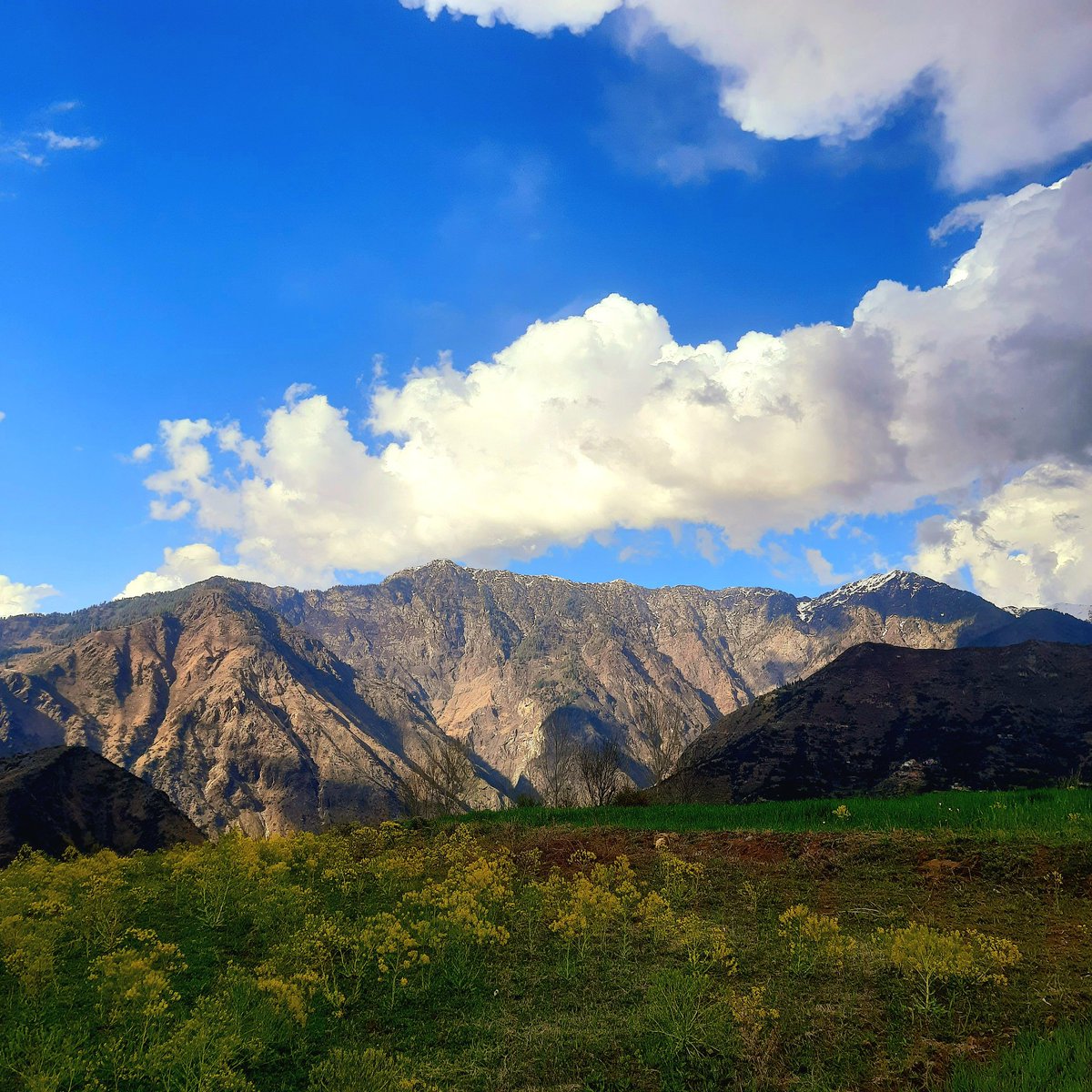 I deem my suffering to be good fortune And laugh at what the lot of you call luck. #Kishtwar @jktdcofficial @TehsilDachhan7 @Devansh_IAS @Dilsekishtwar @Kishtwarknight