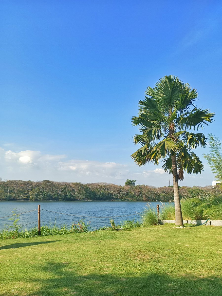 ·͜·♡ tweet media